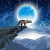 Individuelle Wandtapete in jeder Größe 3D Mond Tier Wolf Landschaft Wandaufkleber Wohnzimmer Schlafzimmer TV-Hintergrund Heimdeko Poster