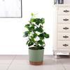 Plastic Flower Pot Tray With Pet Material And Dustproof Design For Garden And Home Use