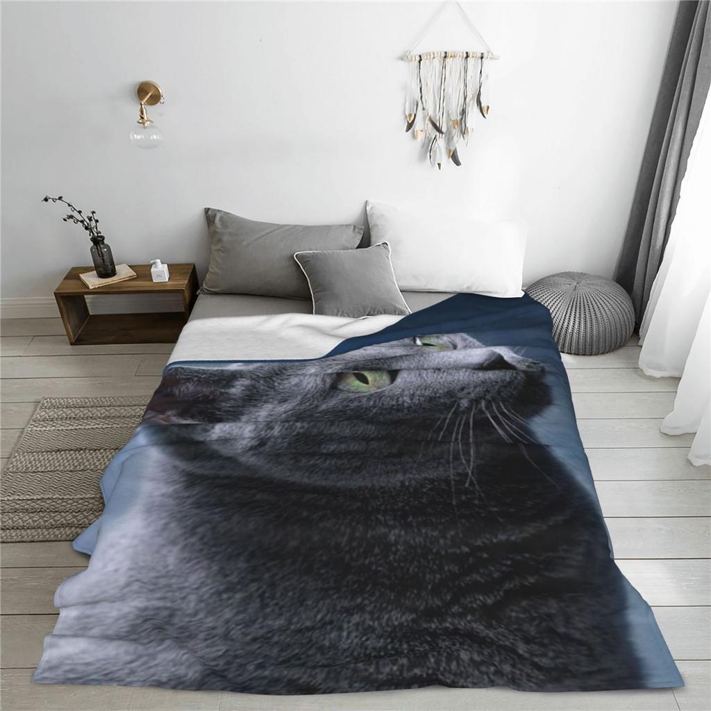 Graue Katze Bedruckte Flanelldecke - Weiches, Gemütliches Fleece, Haustier- & Wohnkultur, Moderner Stil, Ganzjahres, 100% Polyester, Gestrickt, Machi