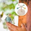 KX4B Sturdy Bird Perch Portable Accessory for Training Small Parrots