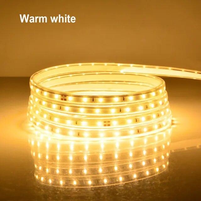 High Quality AC 220V LED Strip Lights 2835SMD 120LEDs/m LED Cabinet Light Flexible Outdoor Lamp Waterproof LED Tape With EU Power Plug