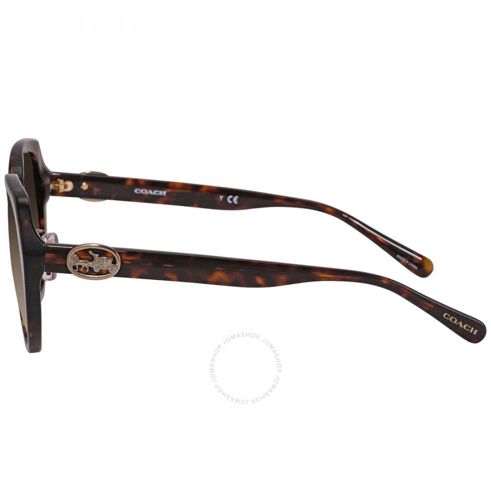 Coach Brown Gradient Butterfly Ladies Sunglasses Hc8331 512013 55