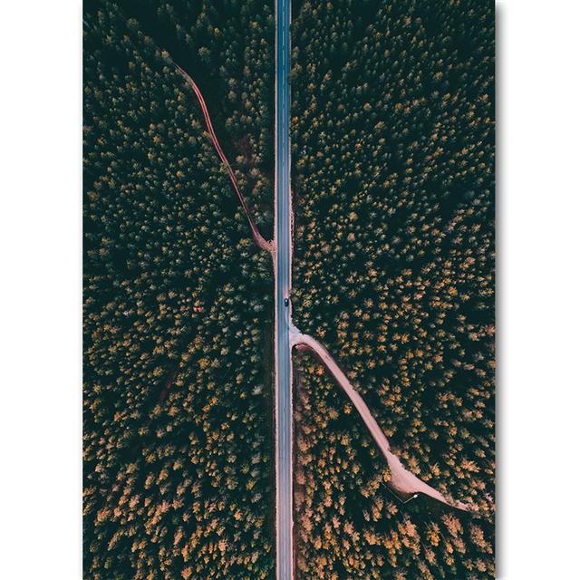Vertical Board Beautiful Forest Scenery Modern Photo Painting Highway Winding Lines Wall Stickers HD Printing Art Decoration
