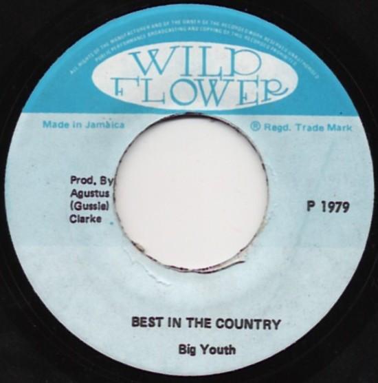 

7-дюймовая пластинка BIG YOUTH Лучшая в стране НИКАКОЙ Дикий Цветок 1979 Ямайка Регги Ска Даб Б/у