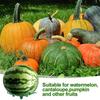5pcs/lot Melon Cradles Plant Pumpkin Support, Watermelon Holder Garden Harvest Basket Protector for Squash Cantaloupe Pumpkin