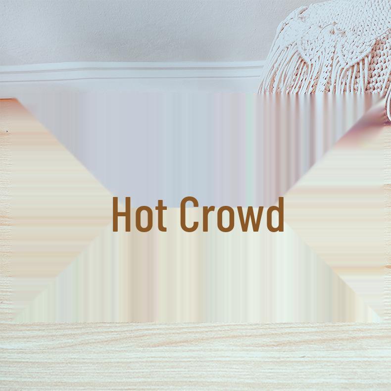 Xiangxiang Cute Animal Doll: Panda & Raccoon Plush Toy, Pocket-Size Companion Gift.