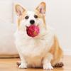 Köpek – Köpek oyuncakları
