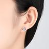 PAG&MAG Korean Style 925 Silver Stud Earrings with Round Zircon and Rotating Pinwheel Design for Women