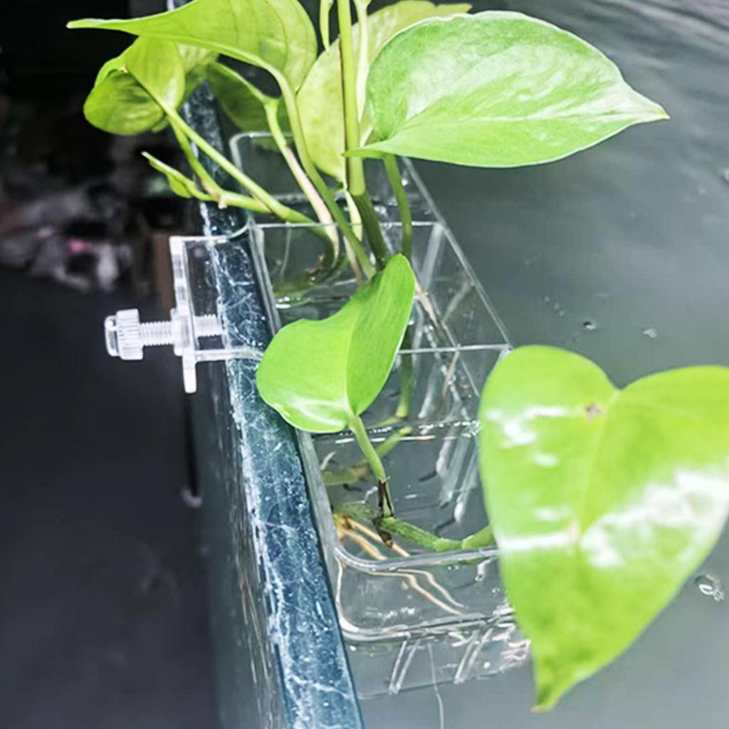 Aquarium Transparent Hydroponic Basket Wall-Mounted Emergent Plant Stand Household Cup for Aquatic Landscaping Decoration