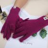 Touch Screen Gloves Autumn and Winter Warm Finger Gloves Thickened Warm Knitted Wool  Korean Student Gloves