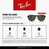 Sunglasses 0RB2215F BLACK GREEN Asian Fit Polarized [Ray-Ban] 901/3156