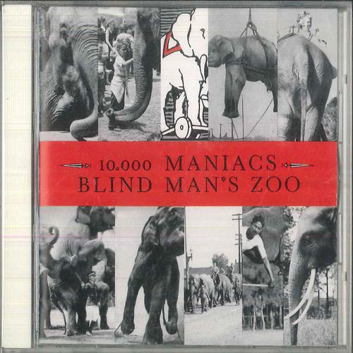 CD 10000 MANIACS Blind Mans Zoo 22P22792 Elektra 1989 Япония Рок Б/у