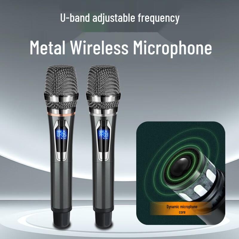 SANSUI E10pro Portable Outdoor KTV Speaker with Wireless Microphone (CN Version)