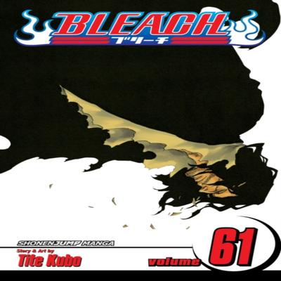Bleach Vol. 61 by Tite Kubo Paperback Book 9781421573830
