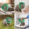 Katzen – Katzenpflege