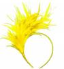 Halloween Colorful Feather Headdress Headband
