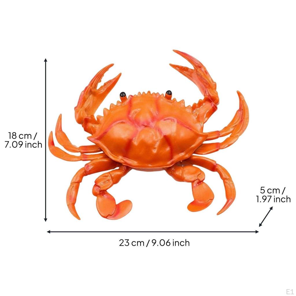 Large Joke Soft Squeezable Material Squeaky Crustacean Figure Gift Realistic Toy for