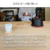 Skater Iron Kettle IH Compatible Gas 1000ml Black ITP2