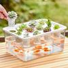 Visible Cultivation Tray Hydroponic Grower Box Container With Lid For Home Vegetables Water Based Gardening And Home Use