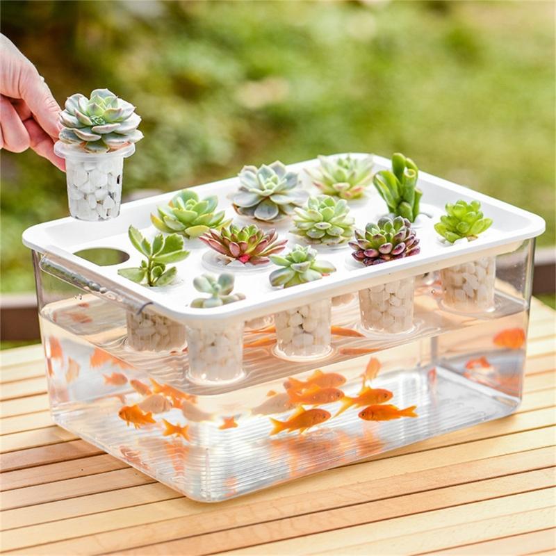 Visible Cultivation Tray Hydroponic Grower Box Container With Lid For Home Vegetables Water Based Gardening And Home Use