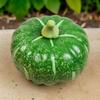 Artificial Pumpkins Realistic Simulation Pumpkins for Thanksgiving Halloween Decoration Fall Party Table Centerpieces