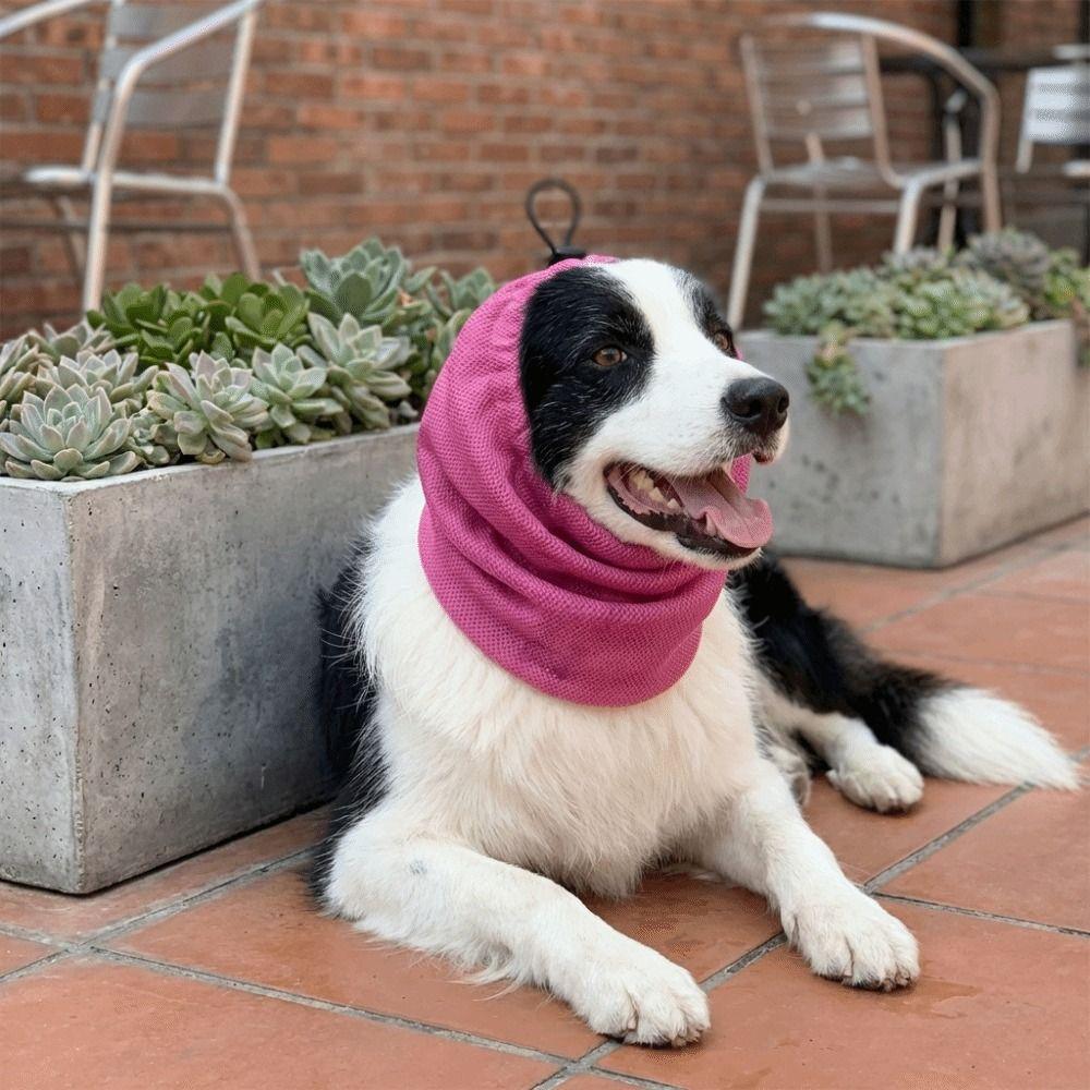 Quick Dry Dog Cooling Head Cover Anti Insect Mosquito Dog Ear Cover Pet Dog Earmuffs  Dog Walking