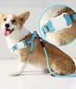 Mini Localizzatore GPS Tracker per Animali Domestici Impermeabile Compatibile Bluetooth per Cani Gatti Collare Localizzatore Anti-Perdita Dispositivo Localizzatore Accessori per Animali Domestici