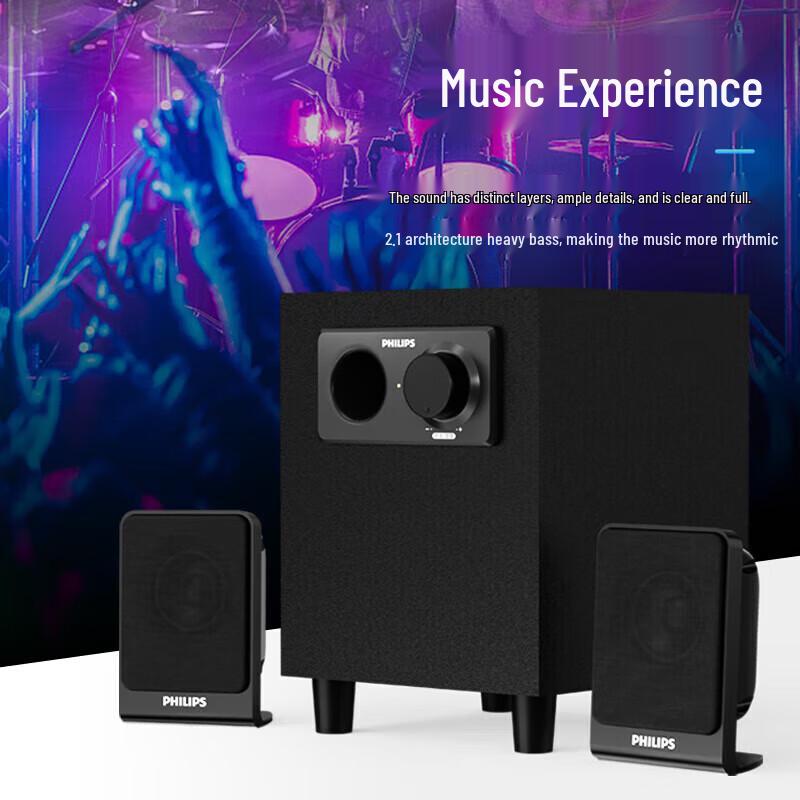 Philips SPA1301 2.1 Channel Wired Desktop Speaker