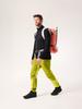 Arcteryx Delta Jacket Men'S (Type B)