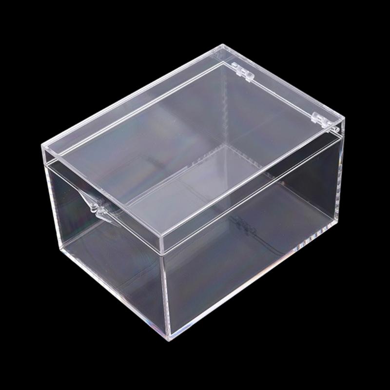 

Multipurpose Transparent Plastic Display Case Spacious Box for Crafts and Showcasing