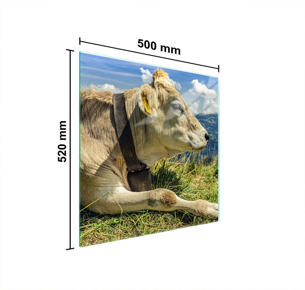 GLAS-KOCHFELD-SCHUTZPLATTE 50x52 KUH