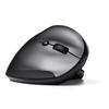 Sanwa Ergonomic Rechargeable Wireless Mouse