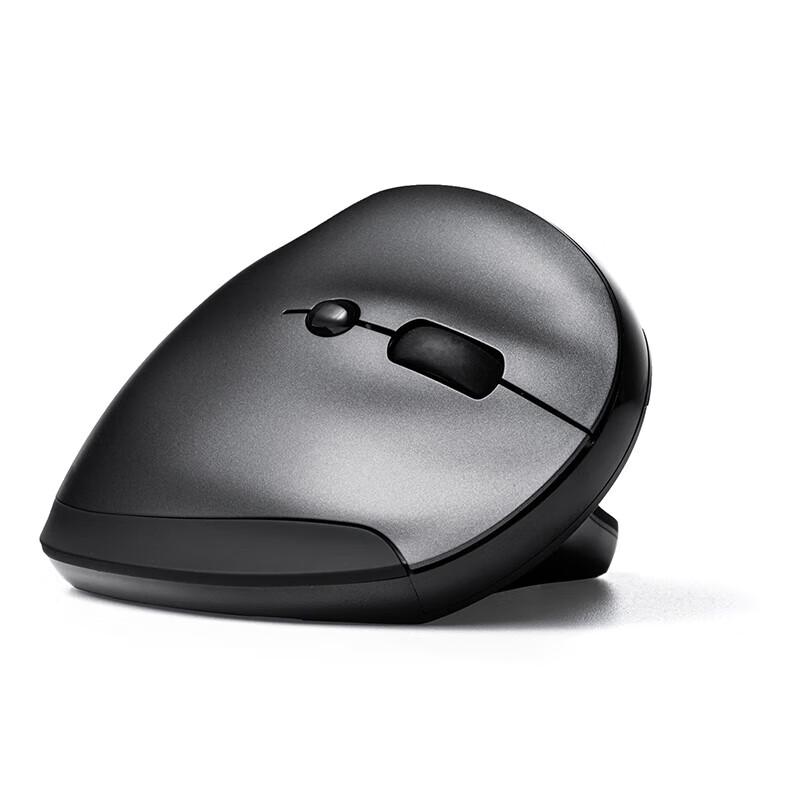 Sanwa Ergonomic Rechargeable Wireless Mouse