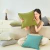 Minimalist Chenille Throw Pillow Cover, Thickened for Lumbar Support - Modern Style for Sofa & Car