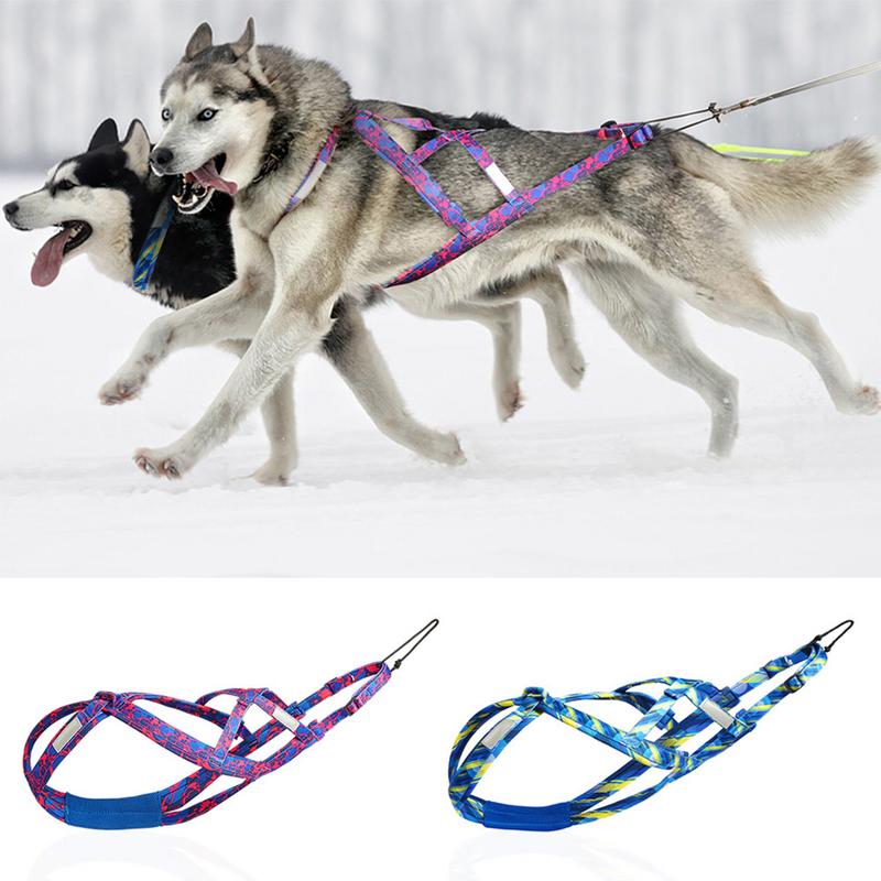 Pulling Harness For Dogs Puppy Harness Adjustable Reflective Dog Harness Outdoor Dog Rope Flexible Dog Training Rope For blu