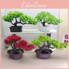 Simulovaná borovica Bonsai Dekoratívna rastlina Vnútorný Zelený Umelý stromček Do obývačky