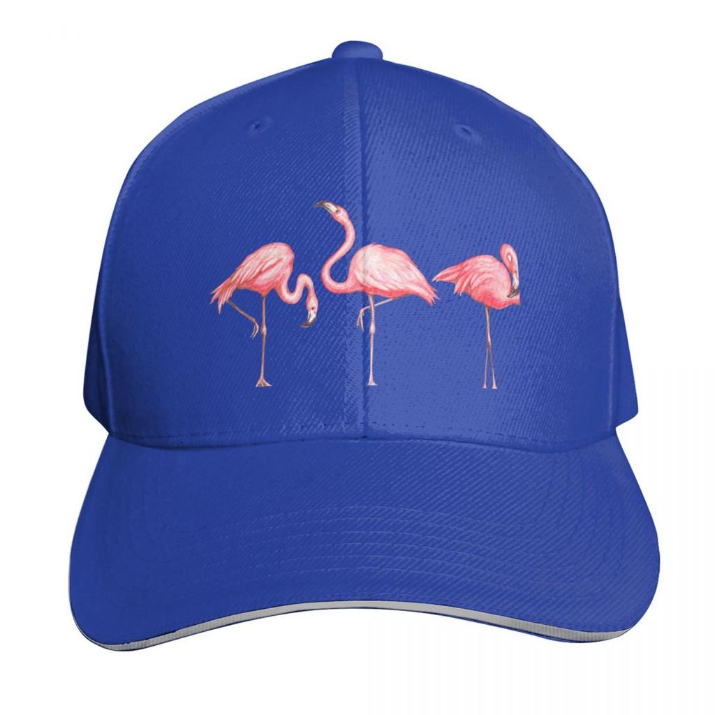 Flamingo Pattern Black Baseball Cap cute Funny hats Wild Ball Hat Beach Designer Unisex Womens