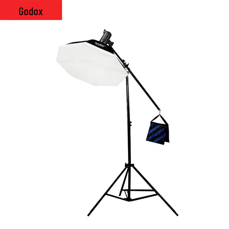 Godox SK400II-V Studio Flash with Octagonal Softbox Kit