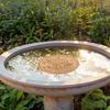 Bird Bath Copper Disk Triple-Point Support Copper Bird Bath Purification Disk Copper Purifier Plate for Outdoor Birdbaths Bowl