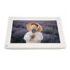 Digital Photo Frame 10 Inch Motion Sensor HD IPS Screen Remote Control Video Music Smart Picture