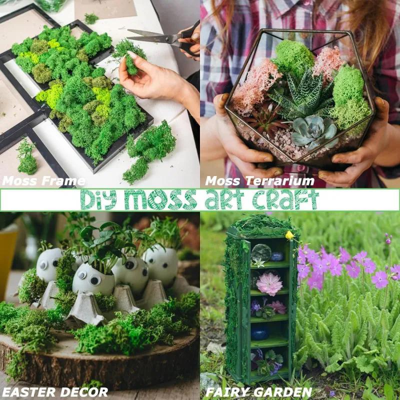 20/40/100g Artificial Green Plants Eternal Life Moss Grass DIY Crafts for Home Garden Room Decoration Mini Landscape Fake Flower