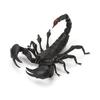 BANDAI The Big Creature full set of 5 types - Encyclopedia Scorpion, (including rare)