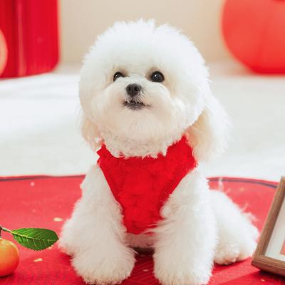 Lion Dancing New Year's Dog Clothing New Year's Celebration Small Dog Teddy Bigbear New Year's Warm Two-legged Clothing Pet Clothing