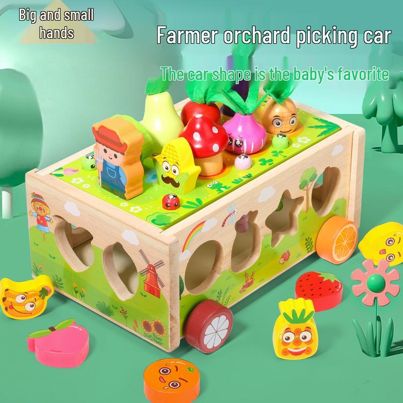 

Wooden Orchard Harvest and Shape Matching Toy Set for Kids