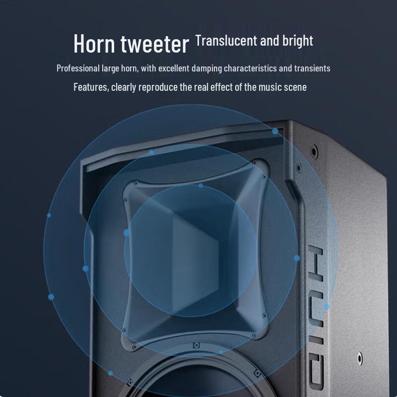 Huidu ETM-101 High-Power Professional Audio Speaker
