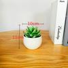 Simulated Succulent Bonsai Pot With Lightweight Pvc For Home Office Interior Design