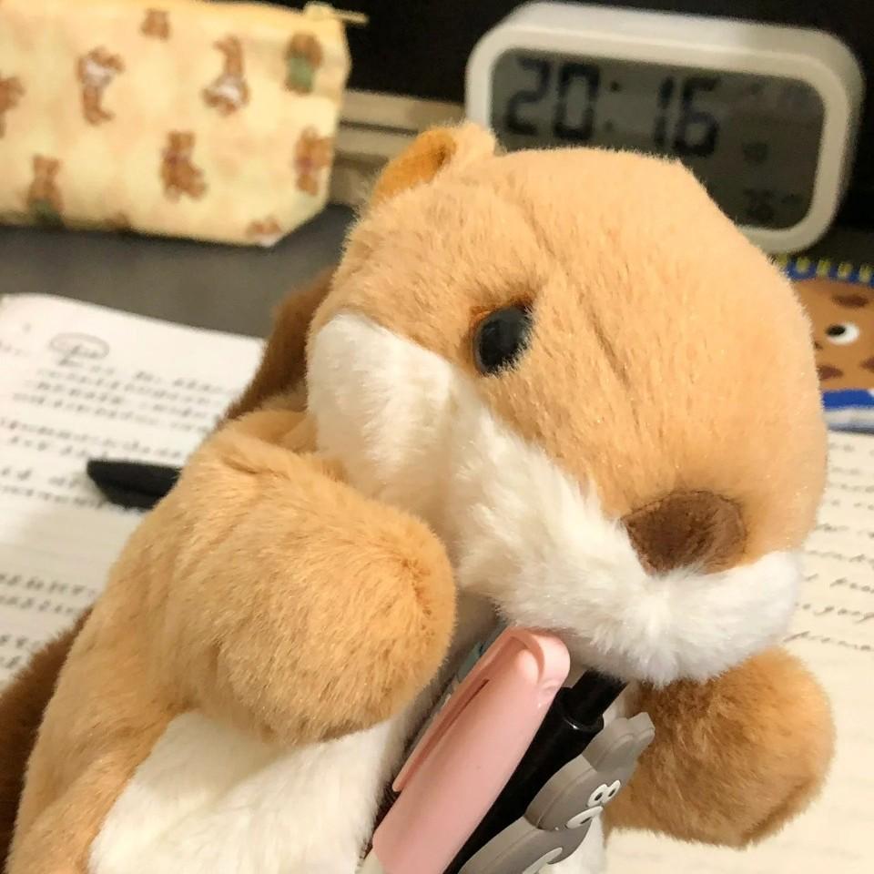 

Очаровательный плюшевый пенал-белка с коротким хвостом - Сумка для хранения канцелярских товаров большой вместимости