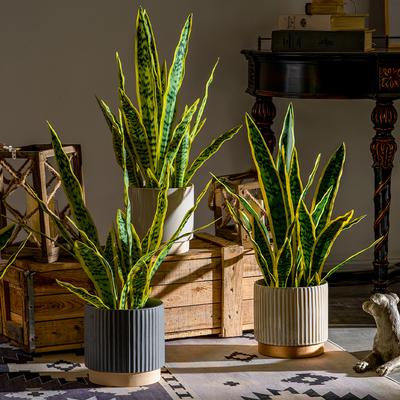 32/37cm Umělé Sukulentní Rostliny Falešná Sansevieria Pokojová Tygří Kůže Tropická Faux Hadí Rostlina Bonsaj Kancelář Balkon Domácí Dekorace