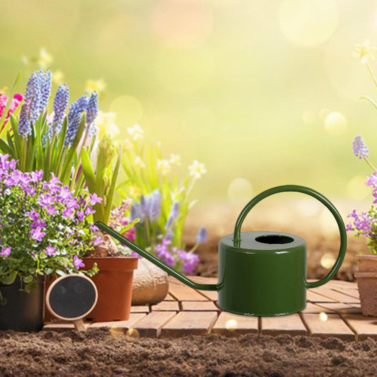 

Металлическая лейка с длинным носиком 1 л, садовый горшок для полива комнатных и уличных растений, овощей зелёный