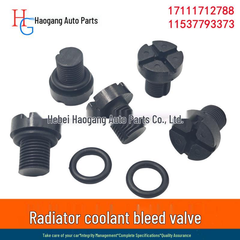 

BMW Radiator Coolant Bleed Valve Screw Plug 17111712788 Haogang